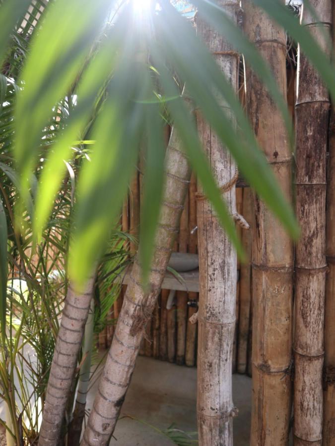 Hotel Steffi'S Mandala Hikkaduwa Exteriér fotografie